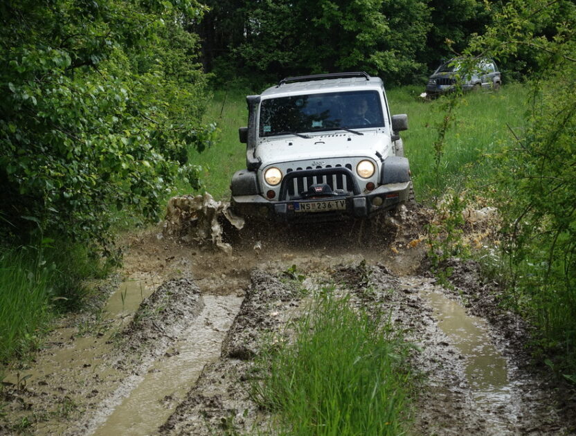 sumadija2019-06_Vlada_1035_resize
